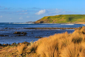 Coastal Grass and Rocky Shore, Phillip Island - 20 September 2011