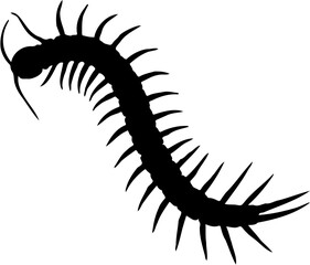 centipede silhouette vector illustration, isolated on white