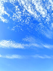 雨上がりの青空と鱗雲　６月