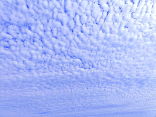 雨上がりの青空と鱗雲　６月
