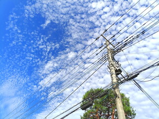 鱗雲　松の木　電柱