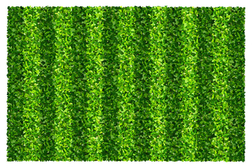 Green grass field background for sports and recreation. Realistic green lawn pattern and texture for background. © Lifestyle Graphic