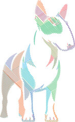 Elegant English Bull Terrier Dog Sketch in Stylized Design Illustration