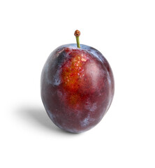 Ripe plum on white background