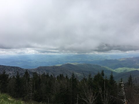 fog in the mountains - Powered by Adobe
