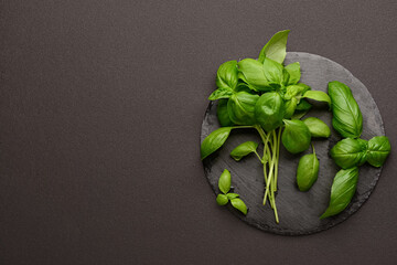 Board with fresh basil on black background