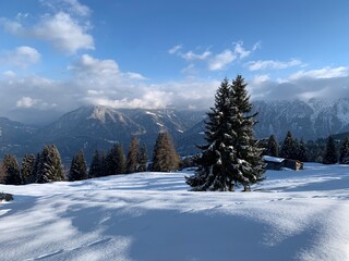 Winterlandschaft auf dem Heinzenberg - Sarn / Landschaft im Schnee mit schneebedeckten Tannen, Wald...