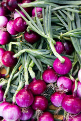 Organic Farmer's Market Fresh Vegetable Red Purple Onion Bunch