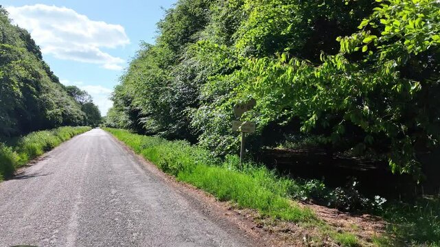 Micheldever Hampshire England UK. 23.05.2025. Video. Country Lane flanked with Beech trees planted by school children to mark the Millennium comemoration.