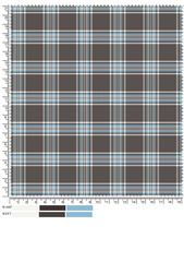 Brown Blue and White Plaid Fabric Swatch with Ruler Markings