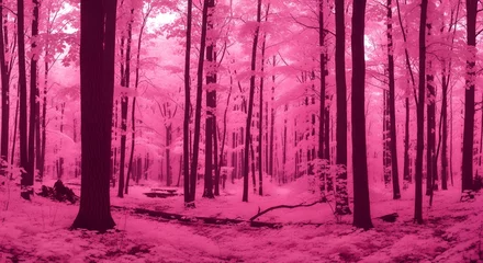 Selbstklebende Fototapeten Pink Trees in Forest © Eunseom