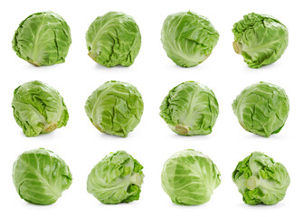 Fototapeta premium Fresh ripe cabbages on white background, collage