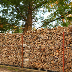 Stacked cut firewood near green trees outdoors