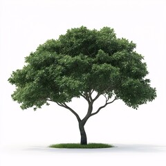 Obraz premium Green Tree Leaves and Lush Nature Landscape. A Scenic Urban Ecosystem Embracing Wildlife, Flora, and Sustainability