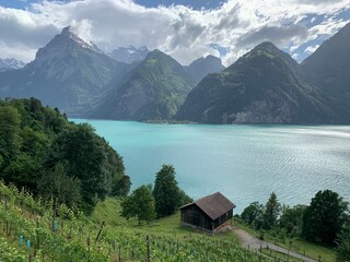 Landschaft mit Vierwaldst&auml;ttersee / See in der Zentralschweiz mit Berge im Hintergrund: - Gitschen, Uri Rotstock, Brunnistock
