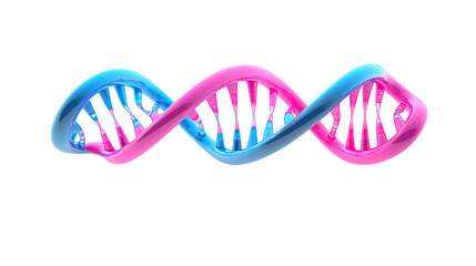 Pink and blue dna strand helix on a transparent background