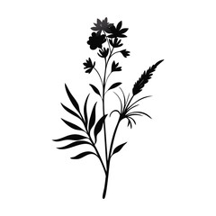 Wild Flower of old Diary-17