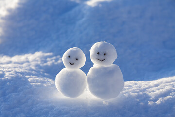 雪原の雪だるま