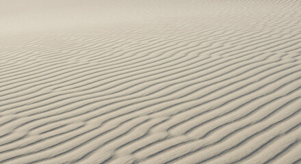 Fototapeta premium Sand Dune Ripples Nature Background Pattern Desert Texture