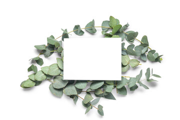 Blank card with green eucalyptus branches on white background
