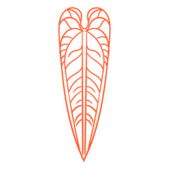Hand-drawn illustration of a tropical leaf, a minimalist lineart drawing of a tropical leaf