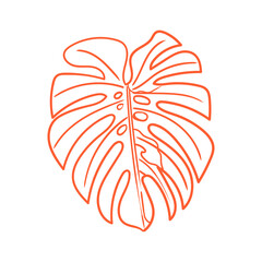 Hand-drawn illustration of a tropical leaf, a minimalist lineart drawing of a tropical leaf