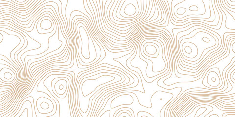 Fototapeta premium Vector Topographic Map Background – Elegant Geometric Contour Lines in Black and White.Dark Geographic Contour Line Background – Editable Vector Topography for Prints and Web.