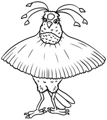 Western Parotia Bird Vector Outline Line Art Drawing