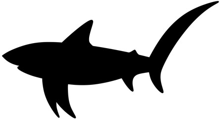 Thresher Shark Silhouette Vector Shadow Illustration