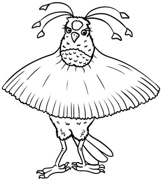 Western Parotia Bird Vector Outline Line Art Drawing