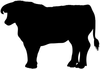 Rodeo Bull Silhouette Vector Shadow Illustration