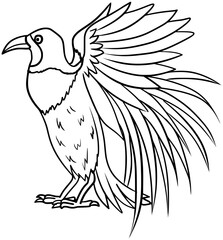 Raggiana Bird Of Paradise Vector Outline Line Art Drawing