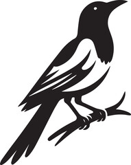 Obraz premium magpie bird silhouette vector, magpie bird vector illustration, magpie bird logo vector black and white