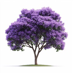 Obraz premium Vibrant Purple Blossoms. Serenity in Nature's Idyllic Springtime Landscape