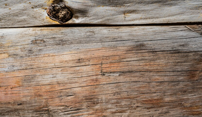 Textura de madera envejecida con nudo visible y tonos cálidos naturales en superficie de tronco