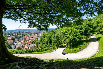 Winding hillside path overlooks historic Ljubljana cityscape, framed by lush green tree branches, showing red-roofed buildings and church spires against summer landscape