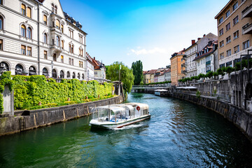 White tourist boat navigating Ljubljanica River between historic buildings and ivy-covered walls,...