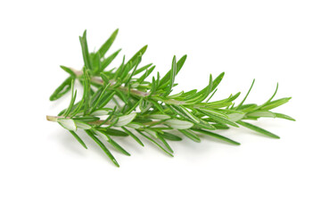 Fototapeta premium Rosemary twig isolated on white background.