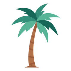 palm tree on white