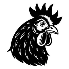 Pencil Sketch Black and White Hen Head Detail