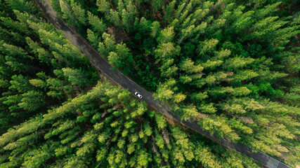 Aerial view of dark green forest road and white electric car Natural landscape and elevated roads...