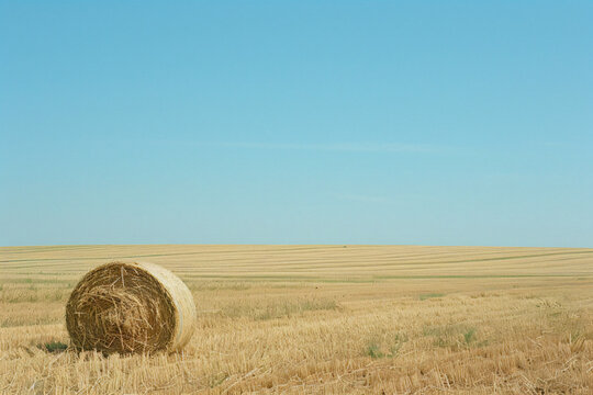 a hay bale in a field with a blue sky - Powered by Adobe