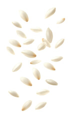 [Transparent Background PNG]Falling Uncooked Rice Grains Close Up