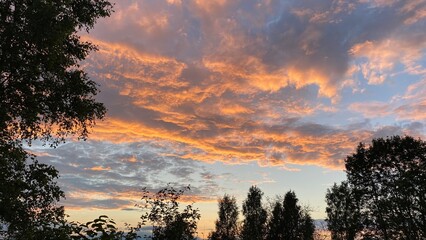 Experience the stunning beauty of a sunset with vibrant clouds over tranquil trees