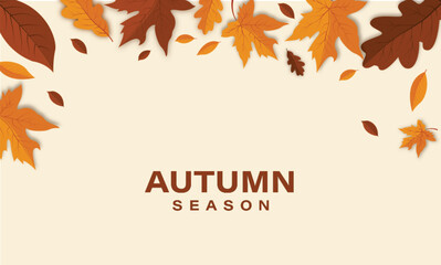 Autumn maple leaves background vector illustration