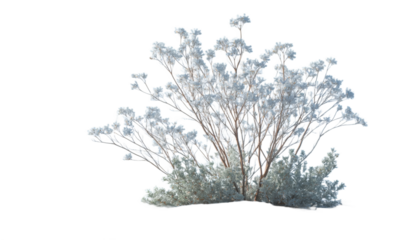 [Transparent Background PNG]Winter Scene with Snowy Plants