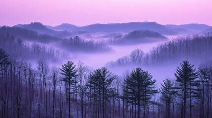 Obraz premium Purple sunrise, misty mountain valley, scenic view, nature wallpaper