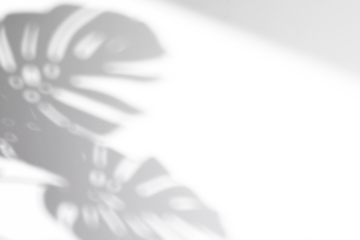 realistic monstera shadow overlay effect,tropical leaves shadows isolated on transparent png background