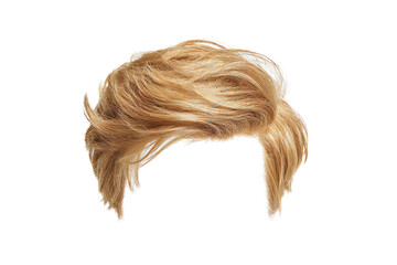 [Transparent Background PNG]Blonde Mens Hair Style Illustration