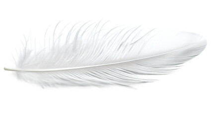 Obraz premium [Transparent Background PNG]Delicate White Feather Detail